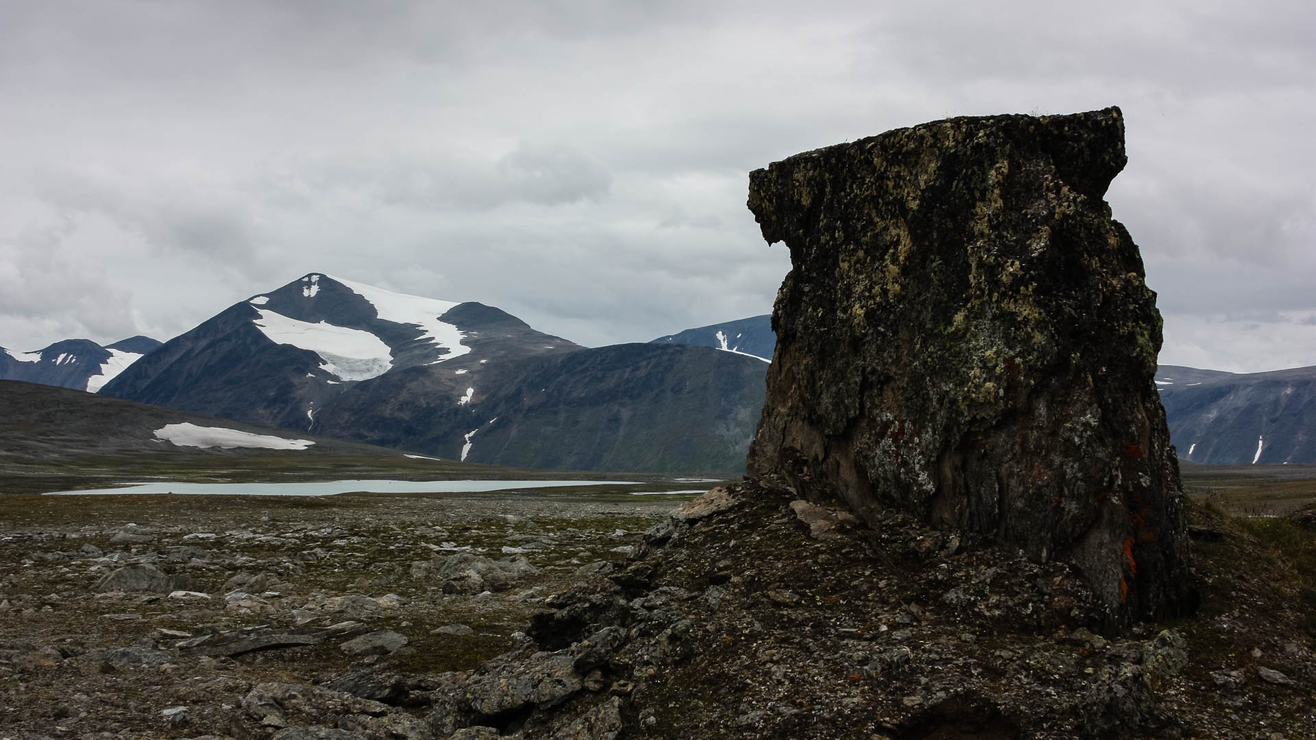 Luottolako, Sarek